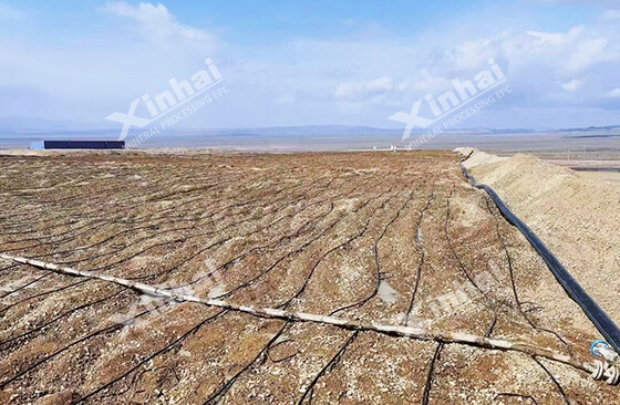 gold heap leaching plant in Russia.jpg